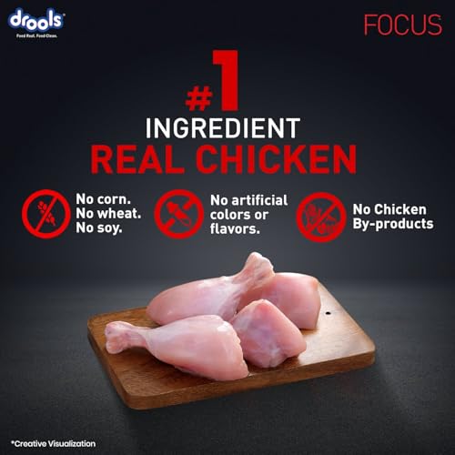 Image of Drools Focus Premium Adult Dry Dog Food 1.2kg Pack | Chicken Flavour | Growth & Intelligence | Digestive Health | Healthy Skin & Coat | Improves Immunity