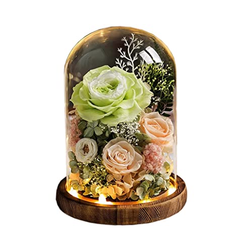 vU[uht[ hCt[ ͂Ȃ KXh[ KN o t[Mtg v[g Mtg{bNX 񂰑 bZ[WJ[h T[rX P[X ỉ LEDCgt NX}X N j JXj ̓ LO