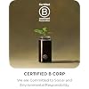 LAKRIDS BY BULOW - 1 - Black Licorice - Sweet - 5.3 oz - Vegan Gourmet Licorice from Scandinavia - Gluten Free & Gelatine Free - Swedish Candy Alternative