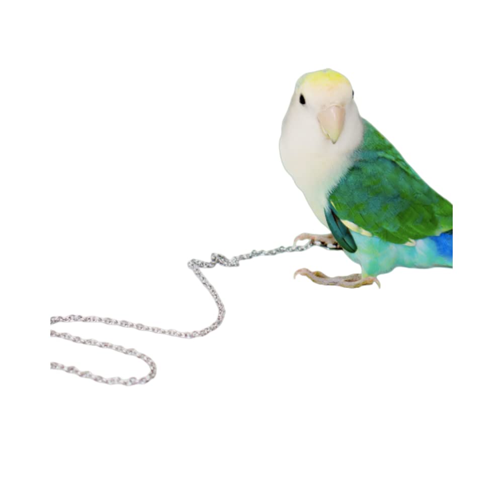 Bird Foot Chain Flying Stainless Steel Training Rope Outdoor Parrot Ankle Foot Ring Accessories Bird Harness Leash Prevent Escaping (4#)