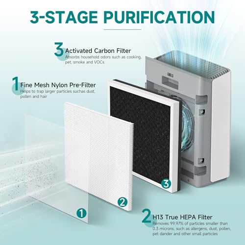 Image of Europa Replacement Filter Compatible with Afloia Europa Air Purifier, 3-in-1 H13 True HEPA Filter with Activated Carbon, 2 Pack