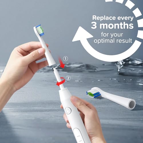 Harobey Replacement Toothbrush Heads 10 Pack Compatible with Bitvae Daily D2 Rechargeable Toothbrush, for D2 Toothbrush Heads Refills, White — view 6