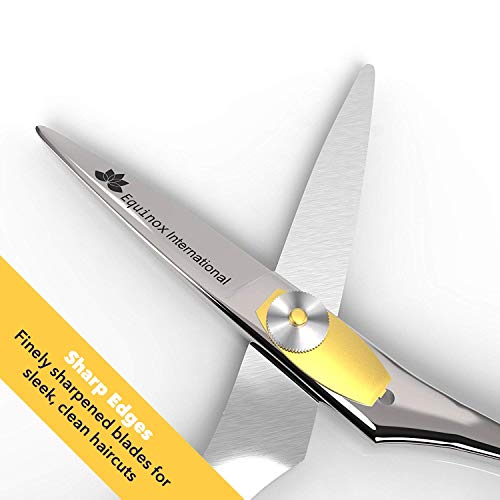 Equinox Professional Razor Edge Series - Hair Cutting and Thinning/Texturizing Scissors/Shears Set - 6.5 Inches - Stainless Steel