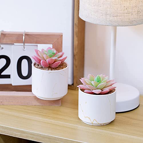 zenmag-Succulents-Plants-Artificial-Mini-Fake-Succulents-in-White-Ceramic-Pots-for-Desk-Livingroom-Bathroom-and-Home-Decoration-Office-Decor-for-Women-Set-of-2-Artificial-Succulents