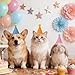 12 Pack Mini Party Hats for Stuffed Animals, Birthday Party Cone Hats Dolls Dog Cat Rabbit Puppies Assorted Animal Birthday
