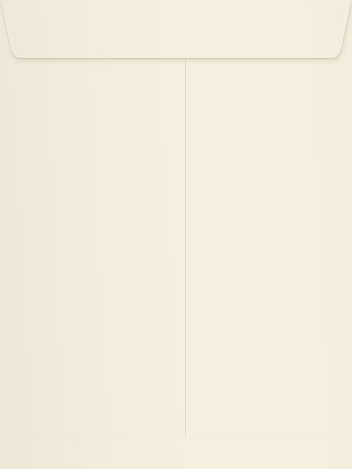 LUXPaper 9 x 12 Open End Envelopes Peel & Press