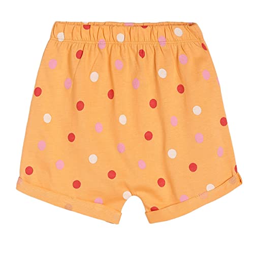 Image of miniklub Baby Knitted Cotton Short, Pack of 3 (Multi Color)