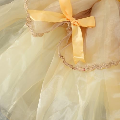 Disfraz completo princesa Bella para niñas 6-7 años miniatura 5