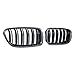Pair Kidney Grille Compatible with 2010-2017 BMW 520 523 525 528 530 535 550 F10 Sedan F11 Touring (Glossy Black Carbon Fiber Double Line)