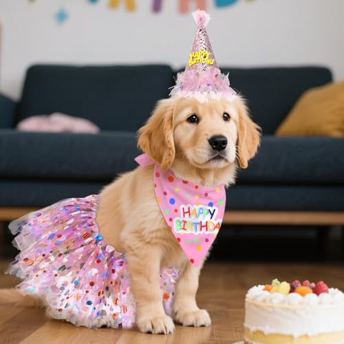 Disfraz de cumpleaños para perro con gorro y vestido rosa miniatura 6