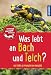 Produktbild Was lebt an Bach und Teich Kindernaturführer: 85 Tiere und Pflanzen am Wasser