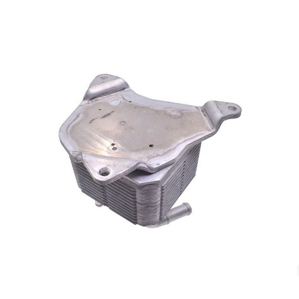 1 PC/Set of 21606-X481A INTERCOOLER (MOLEI-AUTO)