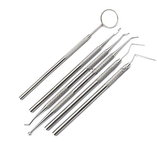OdontoMed2011 'Dental DENTIS' Pick Hobby Tools Instruments Set Probe Set Stainless Steel ODM
