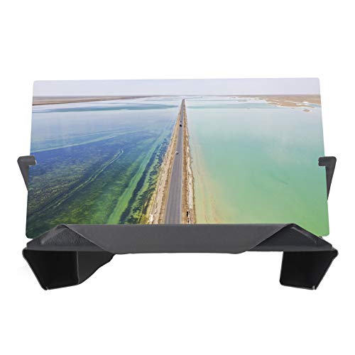 Pantalla protectora de ojos con amplificador de 10 pulgadas contra la fatiga visual 2