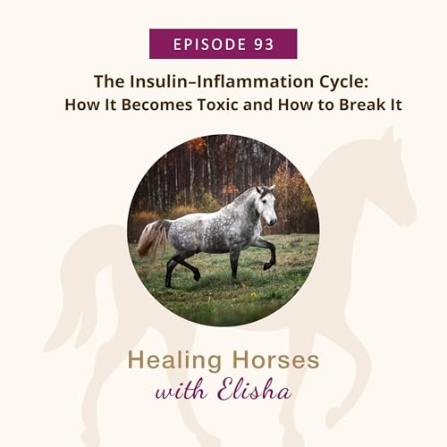 93: The Insulin–Inflammation Cycle: How It Becomes Toxic and How to Break It