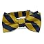 Navy Blue and Gold