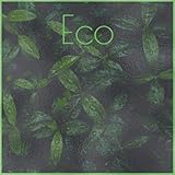 ecobolsa mis valores  Eco