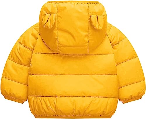 Image of Bold N Elegant Cartoon Bear Kids Shiny Sparkling Quilted Winter Warm Standard Length Wool Blend Hood Jacket Coat Bomber Puffer Jacket for Boys Girls Kids