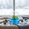 BLOOMIFY Venus Flytrap Terrarium - Zero Care - 100% Growth Guarantee - 2.5 Dome
