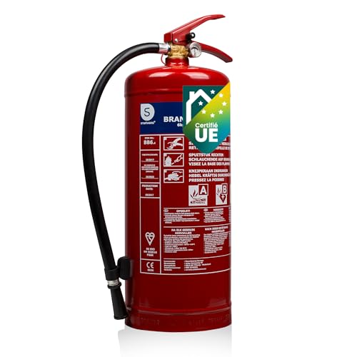 Smartwares Extincteur Poudre 6 kg FEX-15167