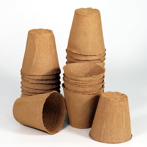 Daniel's Plants Vasos de 10 cm | Vasos grandes naturais para plantação de ervas, legumes, mudas de