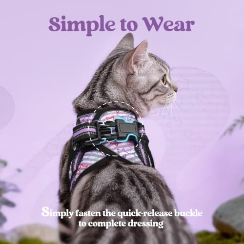 Image of rabbitgoo Cat Harness and Leash Set, Step-in Soft Vest, Stars & Stripes | Escape Proof, Lightweight, Easy-on & Adjustable, Hook & Loop with Buckle, Reflective, for Kittens & Small Cats Walks, S