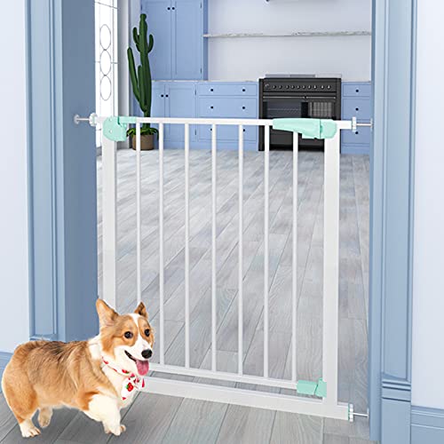 ybgpxr[T[N SQ[g ZtN[WOKi ybgtFX @툳͂Ȃ CXg[ EH[NX[hA GNXe_[t/83-90Cm