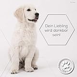 Lolo & Max - Floh- & Zeckenmittel für Hunde 100% Natürlicher Spot On - Bis zu 8 Monate Abwehr & Bekämpfung von Flöhen & Anderen Parasiten (Zecken,Milben,Läuse,Haarlinge,Wanzen) - 40ml