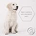 Lolo & Max - Floh- & Zeckenmittel für Hunde 100% Natürlicher Spot On - Bis zu 8 Monate Abwehr & Bekämpfung von Flöhen & Anderen Parasiten (Zecken,Milben,Läuse,Haarlinge,Wanzen) - 40ml