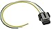 WVE by NTK 1P1113 Alternator Connector