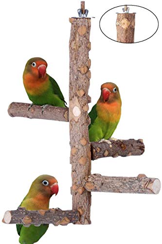 Wonninek Habitat di Uccelli Pappagallo Legno Naturale attività Ramo Stand morso Giocattolo Piattaforma Gabbia per Uccelli Giocattolo per Animali Parco Giochi Esercizio Piccolo Animale Domestico di