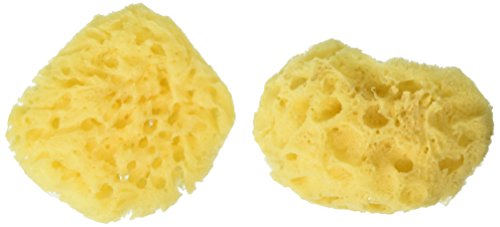 The Miracle Shop 2-Pack Natural Baby Bath Sponge