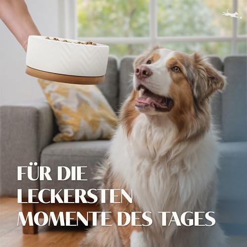 FREUDENTIER Hundenapf aus Keramik mit Bambus-Boden - 990ml - rutschfest & spülmaschinenfest - Moderner Futternapf/Fressnapf für Grosse Hunde & kleine Hunde - Napf Hund (Weiß, 1x)