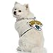 Littlearth NFL Pet Fan Chain Jacksonville Jaguars