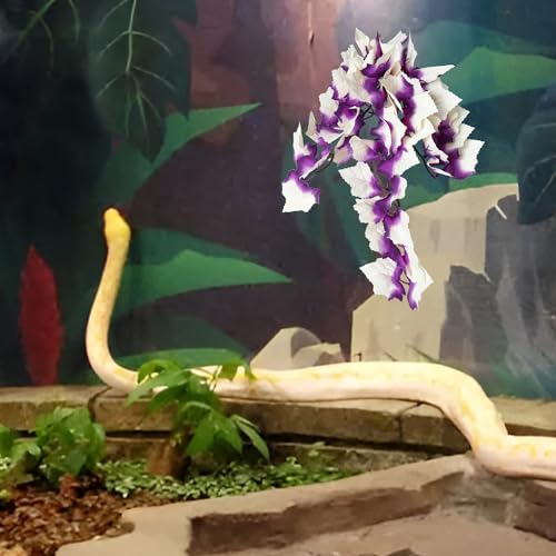 Image of Aquarium Artificial Plant Reptiles Plants with Suction Cup for Terrarium Fish Tank Landscape Decoration Hanging Silk Purple Leaves Plants