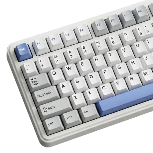 Thyrnovyn 126 Keys PBT Double Shot Keycaps, White Blue Minimalist