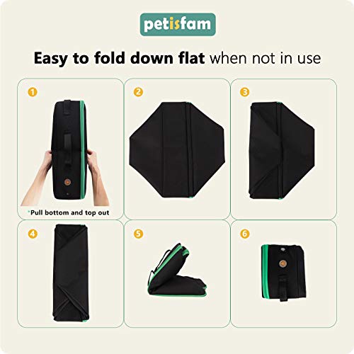 Petisfam Portable Cat Travel Litter Box With Zipped Lid, Medium, No Leakage, No Smell, Easy To Carry, Easy To Use In Hotels, Car, Black #TOP6