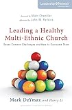 Leading a Healthy Multi-Ethnic Church: Seven Common Challenges and How to Overcome Them (Leadership Network Innovation Series)
