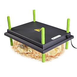 Tetuga Chick Heating Plate - 12 x 16 Inch Chicken Heater Plate for Chicks with Adjustable Height & Angle - 30W Safer Than Brooder Lamp Warms Up to 40 Chicks
