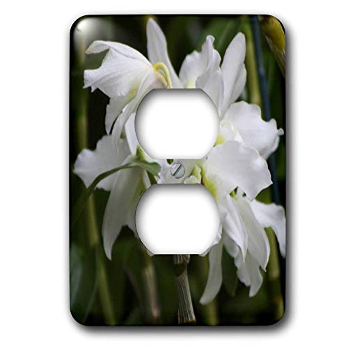 Cache prise orchidee 3dRose pour masquer les interrupteurs blancs tristes - 2