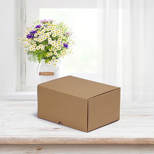 Image of HORLIMER 8x6x4 inches Shipping Boxes Set of 25, Brown Corrugated Cardboard Box Literature Mailer