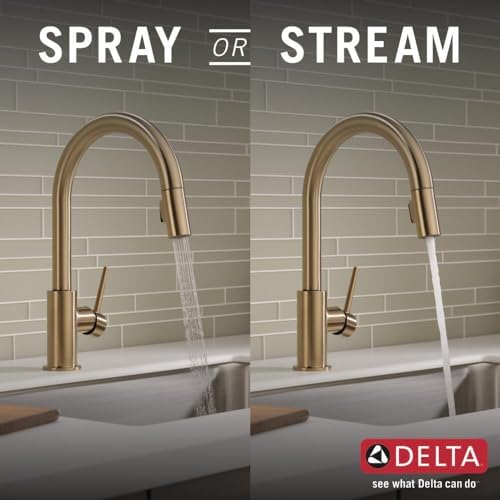 Review: Perfect Trinsic Kitchen Faucet