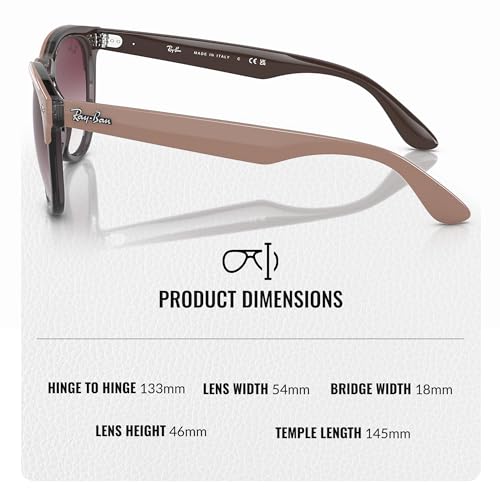 Ray-Ban RB4471 IRIS Phantos Shaped Sunglasses for Men & Women with Official RAYBAN Eyewear Kit4