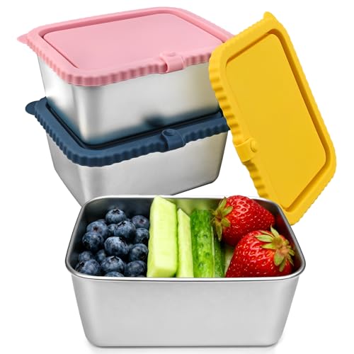 FRUIID 3-Pack Stainless Steel Food Storage Containers with Silicone Lids, 20oz Snack Pack Containers Reusable Metal Bento Lunch Box Large Container for Meal Prep, Picnic, Office, Travel