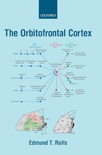 The Orbitofrontal Cortex view 2