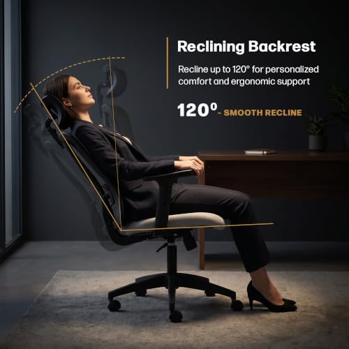 Image of DROGO Ergonaut Ergonomic Office Chair for Work from Home | Computer Chair with 2D Headrest, Armrests & Adjustable Lumbar Support | Breathable Mesh with 120 Recline, 1-Year Warranty (Black & Grey)