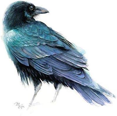 Raven Watercolor Giclee Print