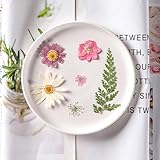 10 Pcs Dried Pressed Flowers for Resin, Real Pressed Flowers Dry Leaves Bulk Natural Herbs Kit for Scrapbooking DIY Art Crafts, Epoxy Resin Jewelry Molds, Candle, Soap Making, Nails Décor Dark Pink - Image 4