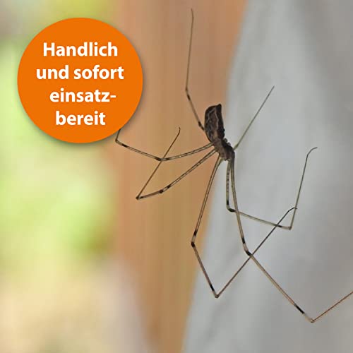 Foto von ARDAP Spinnenspray 400ml - Schnell & effektiv mit Langzeitwirkung bis zu 6 Wochen - Anti Spinnen Spray zur Spinnenabwehr - Ideal für Haushalt, in Kellern & Garagen, auf Dachböden & Booten
