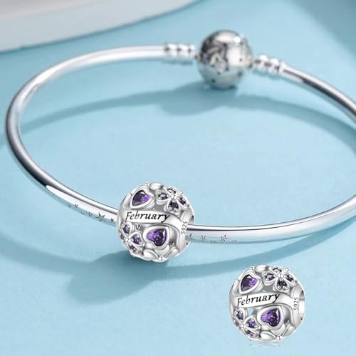 Aurevella Lucky Clover Birthstone Charms 925 Sterling Silver Charm for Pandora Bracelets and Necklaces Birthday Holiday Women Jewelry Gifts by Aurevella - Used condition - Image 2